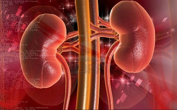 Picture 7 of Interesting discovery about the human body