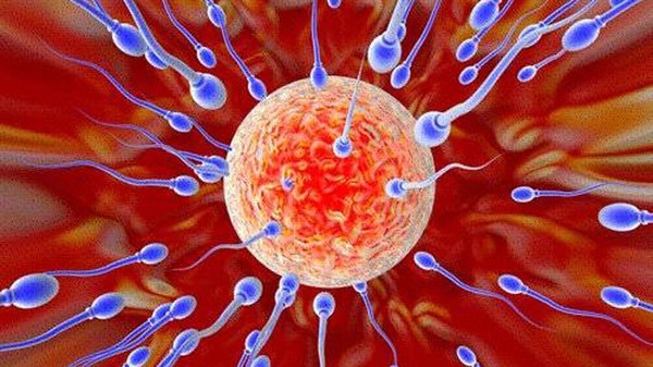 Picture 8 of Interesting discovery about the human body