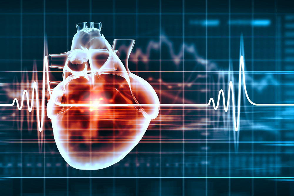 Interesting discovery of human circulatory system