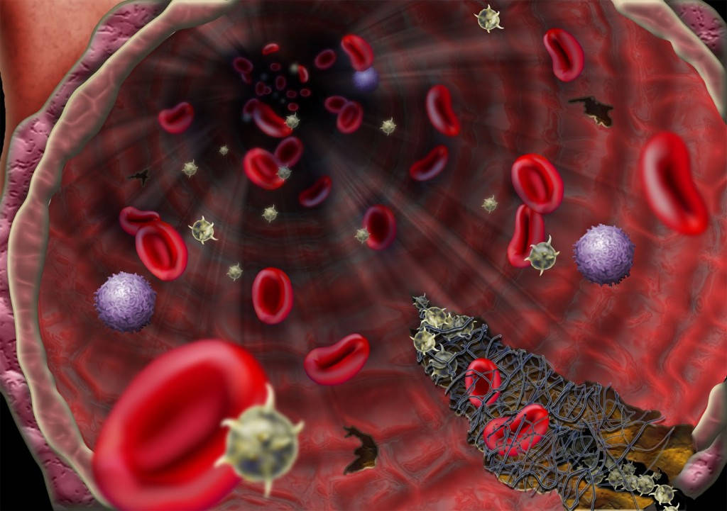 Picture 7 of Interesting discovery of human circulatory system