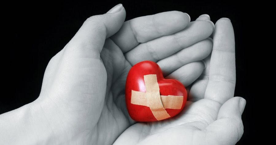 Picture 8 of Interesting discovery of human circulatory system
