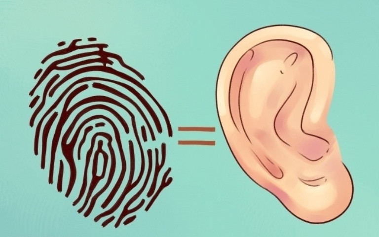 Picture 1 of Interesting facts about ears most people don't know