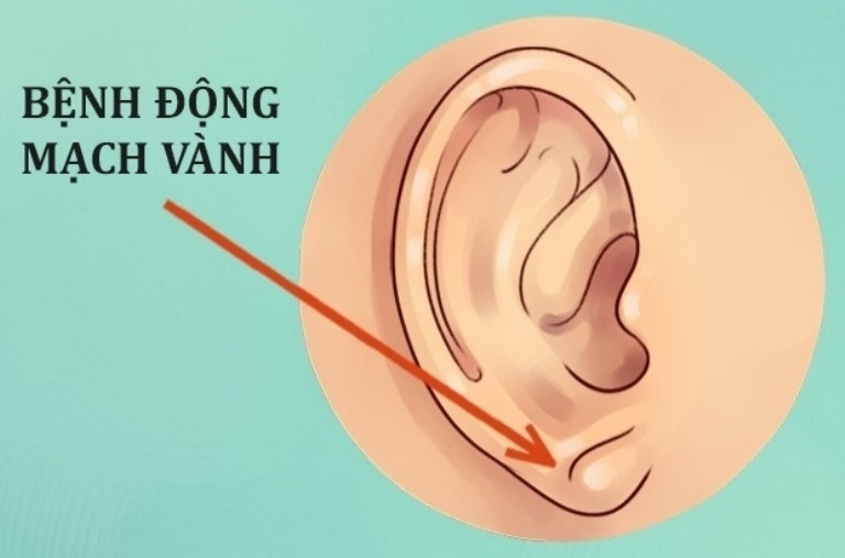 Picture 3 of Interesting facts about ears most people don't know