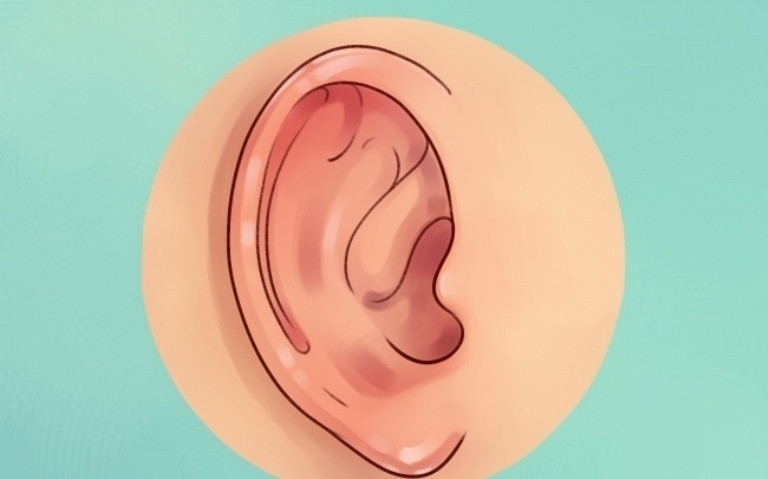 Picture 5 of Interesting facts about ears most people don't know