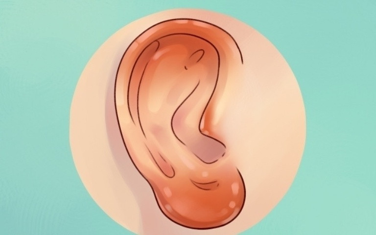 Picture 6 of Interesting facts about ears most people don't know