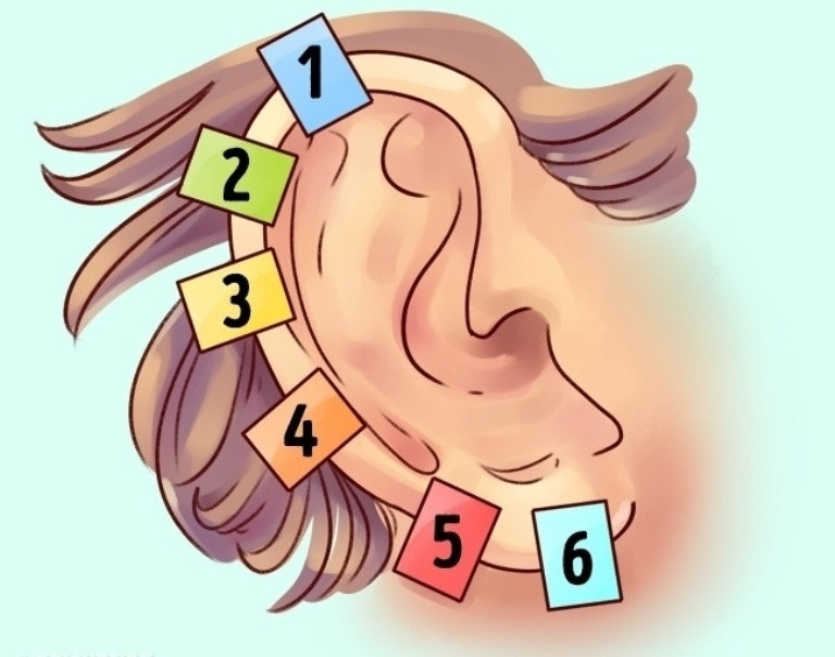 Picture 9 of Interesting facts about ears most people don't know