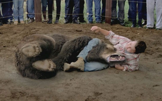 Picture 3 of Interesting facts about little-known bears