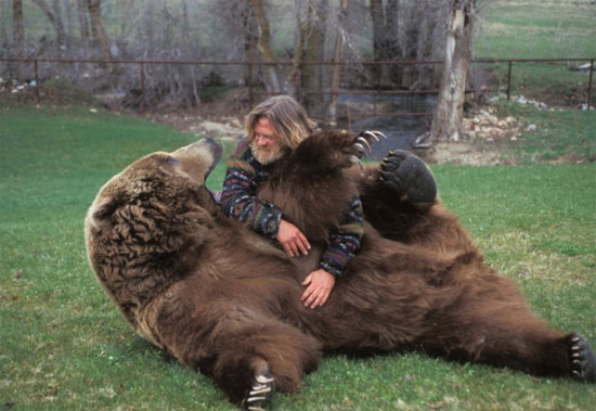 Picture 5 of Interesting facts about little-known bears