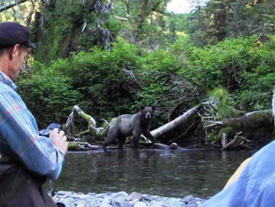 Picture 8 of Interesting facts about little-known bears