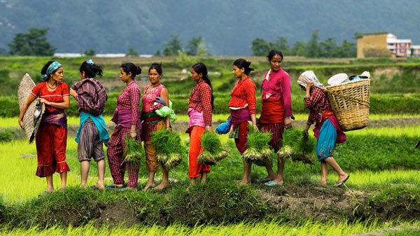 Picture 8 of Interesting facts about Nepalese Buddha land