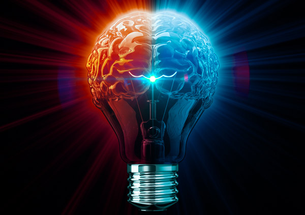 Picture 6 of Interesting facts about the brain