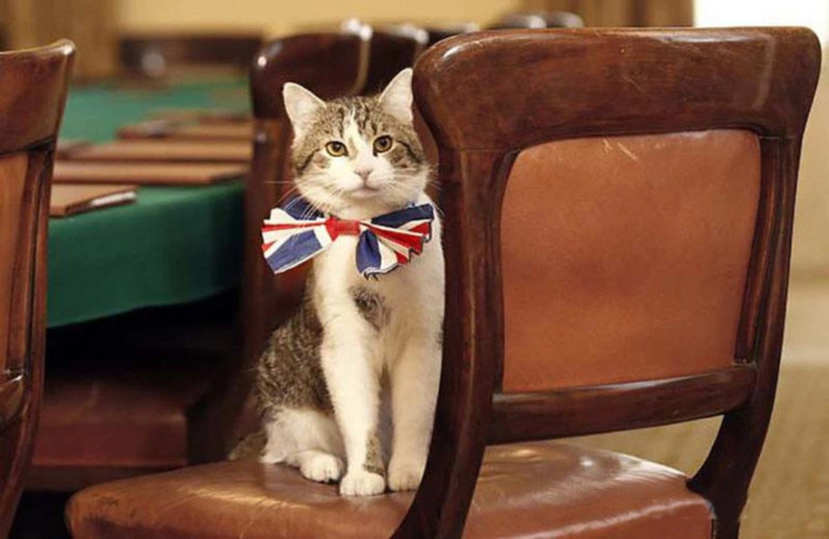 Picture 3 of Interesting facts about the British Prime Minister's palace