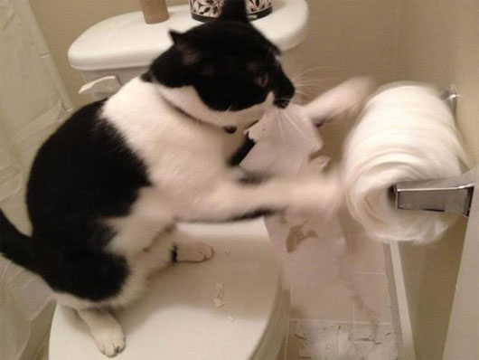 Picture 7 of Interesting history of toilet paper