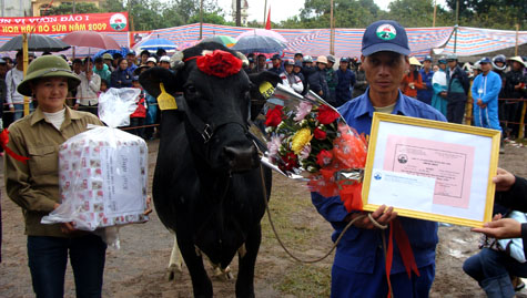 Picture 19 of Interesting images at the Miss Dairy contest
