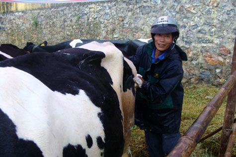 Picture 3 of Interesting images at the Miss Dairy contest