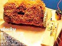Picture 3 of Interesting inventions in 2005