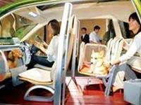 Picture 7 of Interesting inventions in 2005