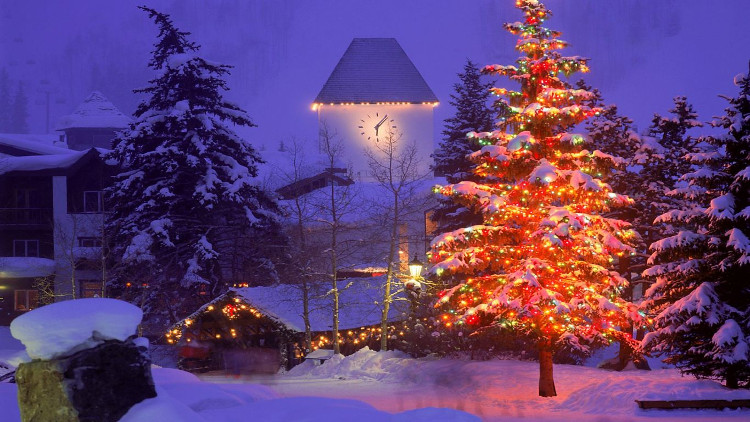 Picture 4 of Interesting secrets about Christmas trees