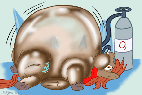 Picture 3 of Interesting secrets about oxygen
