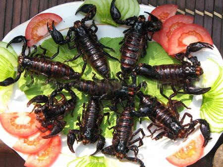 Picture 2 of Interesting things about insects