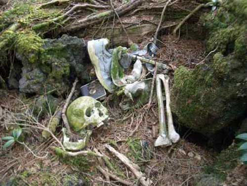 Picture 2 of Interesting things about Japan