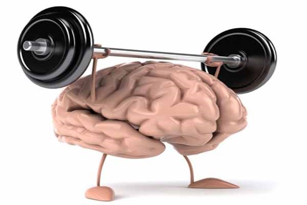 Picture 2 of Interesting things about the brain