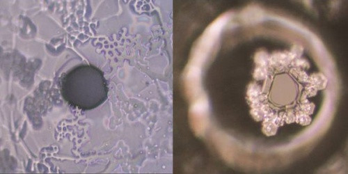 Picture 11 of Interesting things about water may be unknown to you
