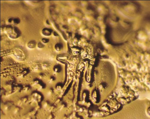 Picture 5 of Interesting things about water may be unknown to you