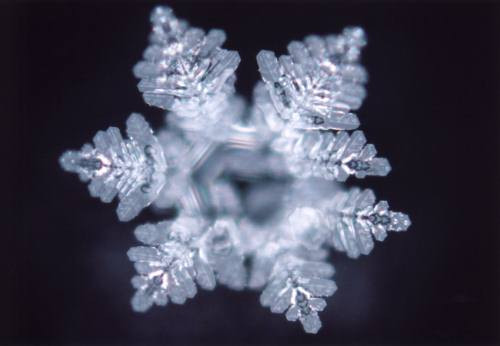 Picture 8 of Interesting things about water may be unknown to you