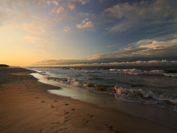 Picture 1 of International conference on cleaning the Baltic Sea water