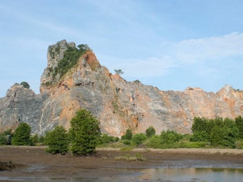 Picture 1 of International experts warn of the risk to the species of Hon Chong limestone mountain