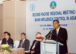 Picture 2 of International scientific cooperation: Strengthening with many challenges