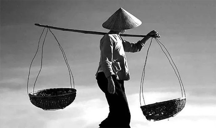 Picture 3 of International scientists discovered the mystery of Vietnamese bamboo attack