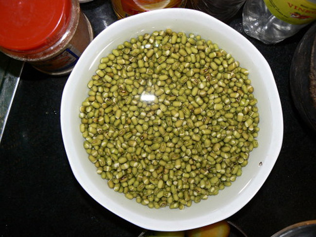 Picture 5 of Introduce and guide how to grow sprouts