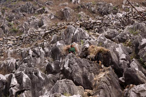 Picture 2 of Invaluable heritage on Dong Van plateau