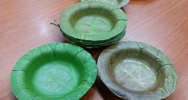 Picture 1 of Invent a bowl made from leaves, replacing a toxic foam food container