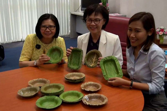 Picture 2 of Invent a bowl made from leaves, replacing a toxic foam food container