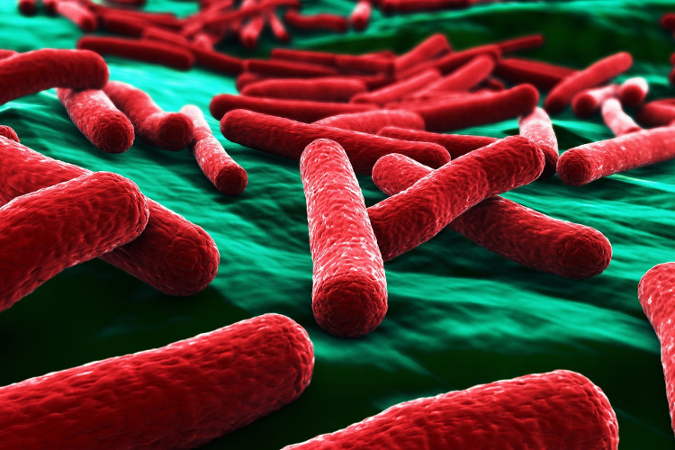 Picture 1 of Inventing a material that kills E.coli bacteria in 30 seconds