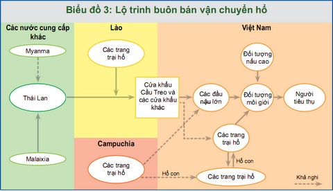 Picture 3 of Investigation of tiger trade in Vietnam