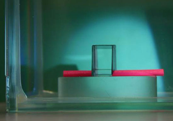 Picture 1 of Invisibility cloak becomes reality