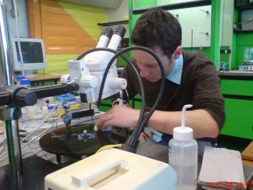 Picture 1 of Ion nozzles help kill bacteria effectively