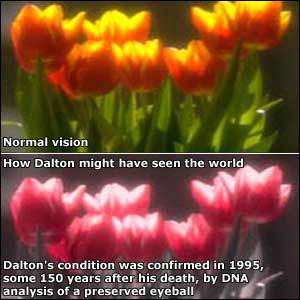 Picture 3 of Is color blindness an esper power associated with trade-offs?