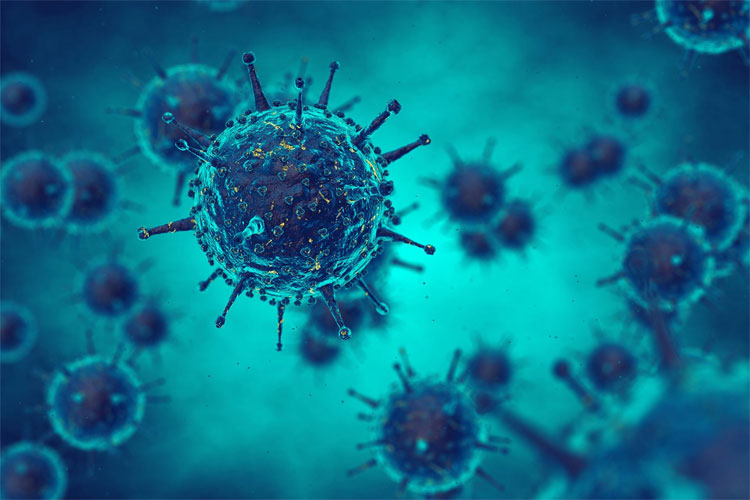 Picture 1 of Is flu B dangerous?