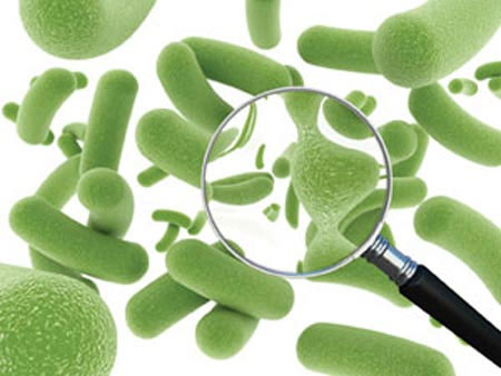 Picture 1 of Is food containing beneficial bacteria as good as advertising?
