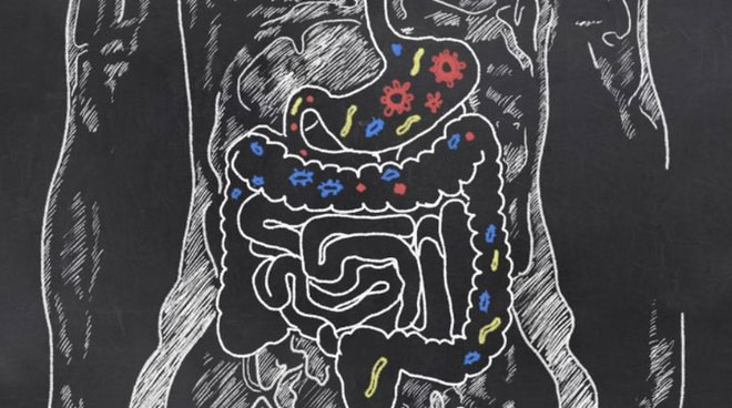 Picture 1 of Is intestinal bacteria the cause of your 'erratic rain' mood?