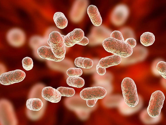 Picture 3 of Is intestinal bacteria the cause of your 'erratic rain' mood?