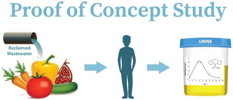 Picture 2 of Is Israeli clean vegetable technology extremely safe?  Not necessarily
