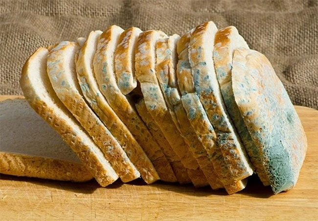 Picture 1 of Is it dangerous to eat moldy bread?