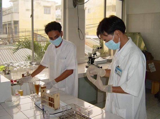 Picture 1 of Isolation of blood stem cells in pure form
