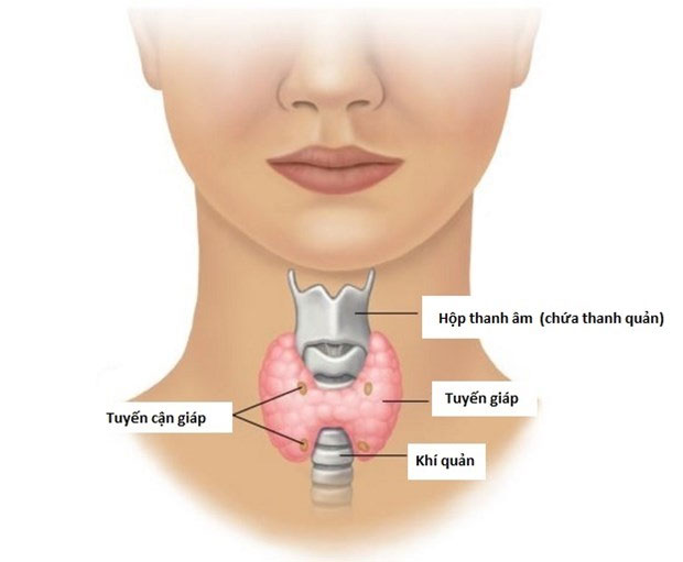 Picture 1 of Israel breakthrough in method for detecting thyroid cancer